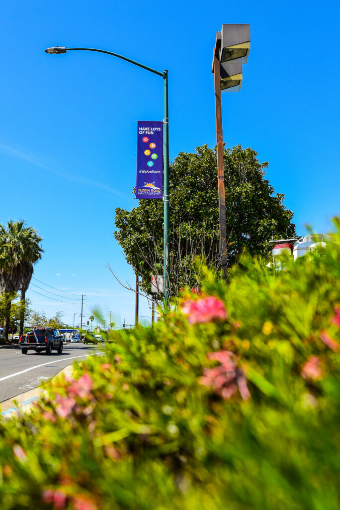 An image of trees along a road